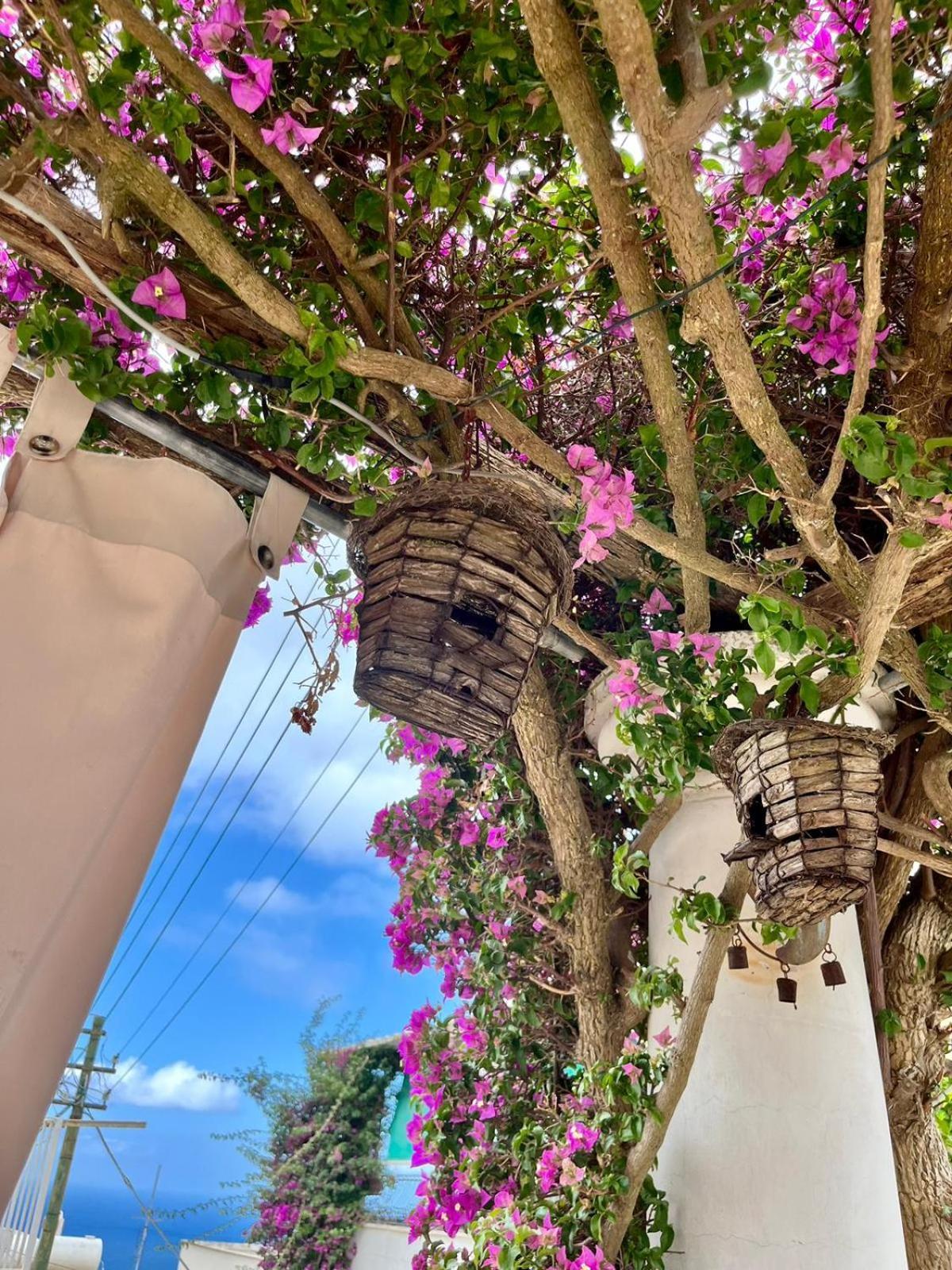 Alle Stelle B&B Ανακάπρι Εξωτερικό φωτογραφία